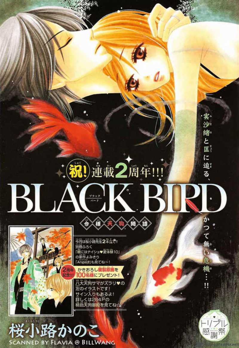 black-bird