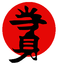 Ju-jtusu, kenjutsu, aikido, Atemi Ryu - Costa Rica