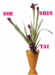 ikebana estructura