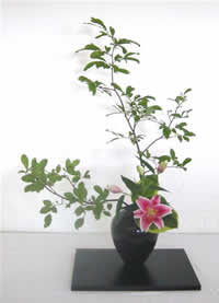 Ikebana Nageire