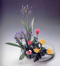 moribana ikebana