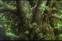 Los Bosques Prohibidos en el Anime de Miyazaki