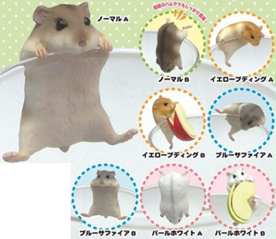 PUTITTO Hamster - Imagen 10